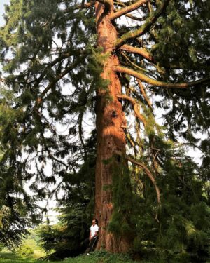 Chuku Modu Instagram - Treebeard.