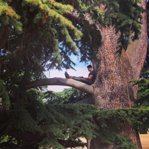 Chuku Modu Instagram - Conversations with Treebeard. #Rafiki