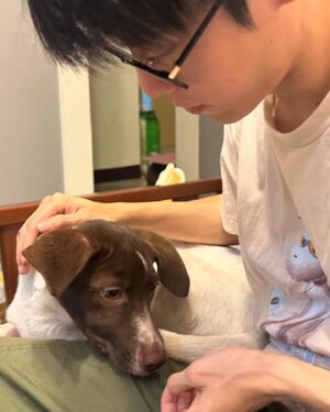 Chun-Chih Huang Instagram - 2023 美好的一年

冬好出生在2023的1月，我們相遇在6月底，7月初成為家庭成員
感謝她的加入，讓我更柔軟、更懂得愛同時也更勇敢

一年一眨眼就過去，發生了好多好多事，我會記得在雨夜裡的鼓勵、擁抱、水蜜桃果汁的乾杯、還有那些真誠的訊息和打氣
也不會忘記那些只為了滿足自己的惡意貶低和羞辱

好事常常與壞事相伴，希望大家如果遇到壞事，也都能對抗煤氣燈效應，且用更開放的心情去迎接那些好事的到來，在年末的冬天更加有體悟，謝謝身邊的朋友們、謝謝自己的勇敢，謝謝2023

2024期許自己 保持勇敢、好奇、保持相信善良的心、提醒自己經過只是經過，自己還是自己

祝福大家新年快樂、平安健康、被美好圍繞。

（最後一則是一首溫暖過我的歌，練習了一小小小段）