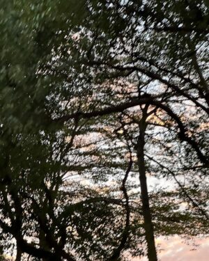 Chun-Chih Huang Instagram - 又長大一歲了
算是有對得起自己去年的警惕與期許，繼續努力加油
也依然期許自己保持真誠保持感受保持愛保持講廢話的心情！

勇敢、善良
健康平安快樂，吃飽睡好

抓緊溫暖的時刻，放口袋儲存點，迎接未知和挑戰