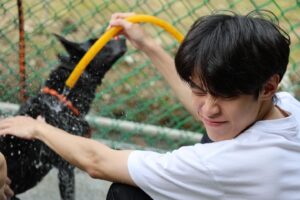 Chun-Chih Huang Instagram - 小狗洗澡隊，出動！

昨天去了在石牌站附近的浪浪家園當志工，大家一起幫好多隻狗洗澡，交貓朋狗友、狗群狗黨（？）

這裡有很多需要陪伴、照顧的狗，原本還很擔心他們會很警戒，但實際幫他們洗澡的時候，發現都很親人、放鬆

最後和大家分享昨天發現的幸運草，祝大家和浪浪們都幸運