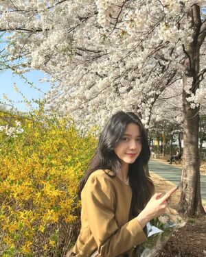 Chung Hye-lyn Instagram - 🌙🌸☀️🌸