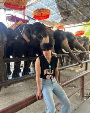Chunnawan Mandee Instagram - ช้างช้างช้าง น้องเคยเห็นช้างรึป่าว🐘