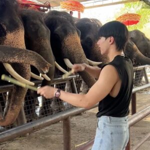 Chunnawan Mandee Instagram - ช้างช้างช้าง น้องเคยเห็นช้างรึป่าว🐘