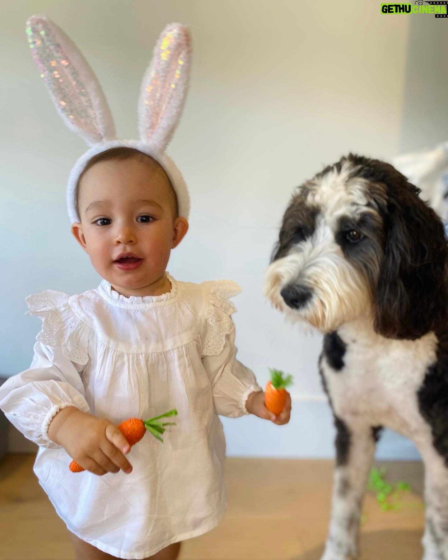 Cindy Sampson - 2K Likes - Lil bunny 🐰 🥕