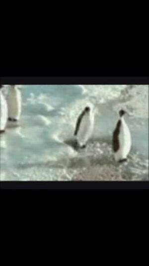 Clancy Brown Instagram - Just gonna leave this here…go have a great weekend. #thepenguin #dc