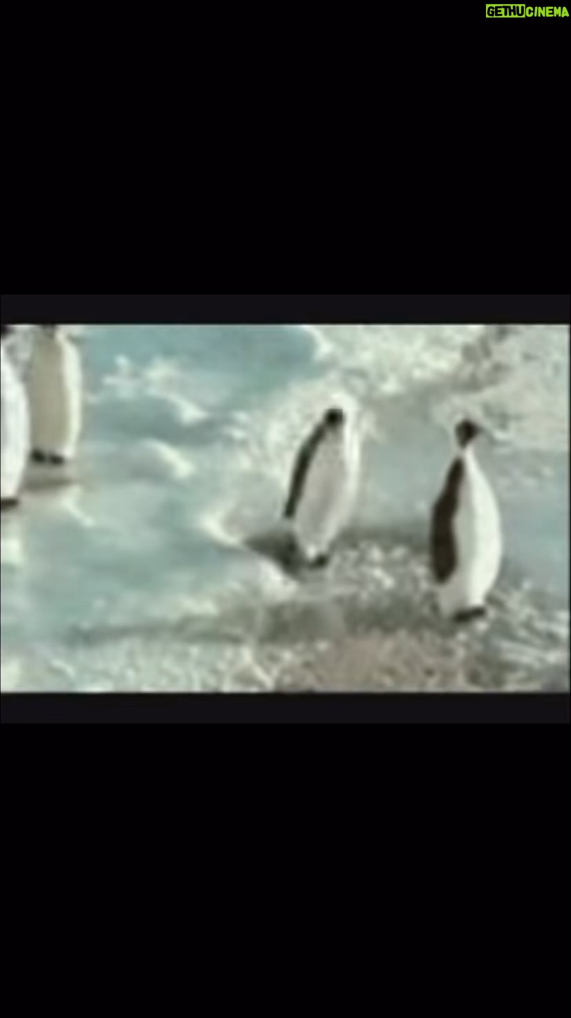Clancy Brown - 3.9K Likes - Just gonna leave this here…go have a great weekend. #thepenguin #dc