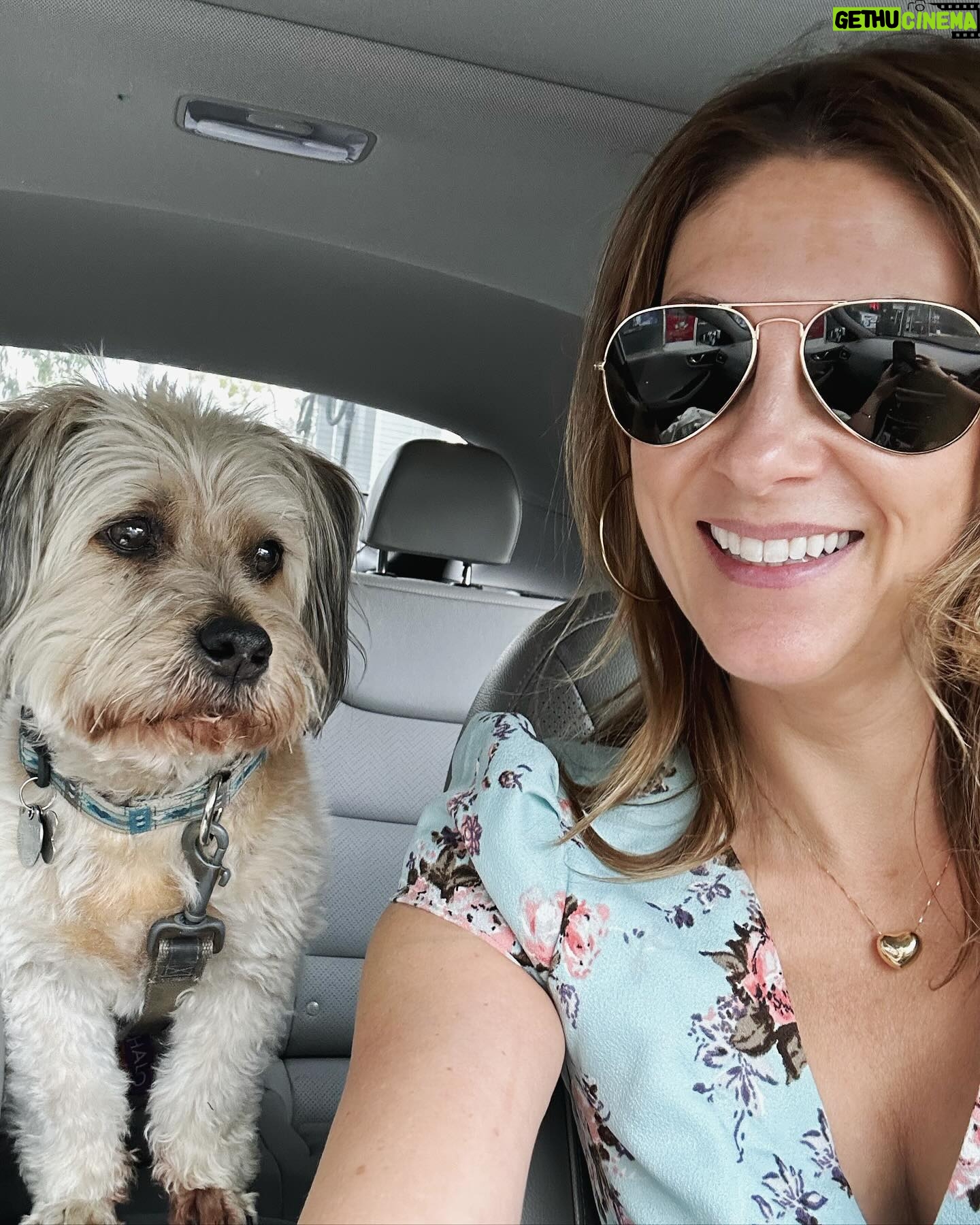 Clarke Wolfe - 453 Likes - 💐 MAY 💐 Highs and lows, adventures near and far and never a dull moment.
I spent a lot of last month getting out of town including trips to:
🎰 Las Vegas with @davidwolfe528 and a ✨magical ✨ reunion with @justinwillman!
🦒 San Diego Zoo Safari Park for Mary & James’ Wedding (followed by a #Disneyland adventure with the newlyweds 🥰)
🏜️ Twentyninepalms for @fayna.bo.byna’s birthday
💎 Temecula for some uncut jahms with @bettydrapers_fatsuit
So, what’s next?!