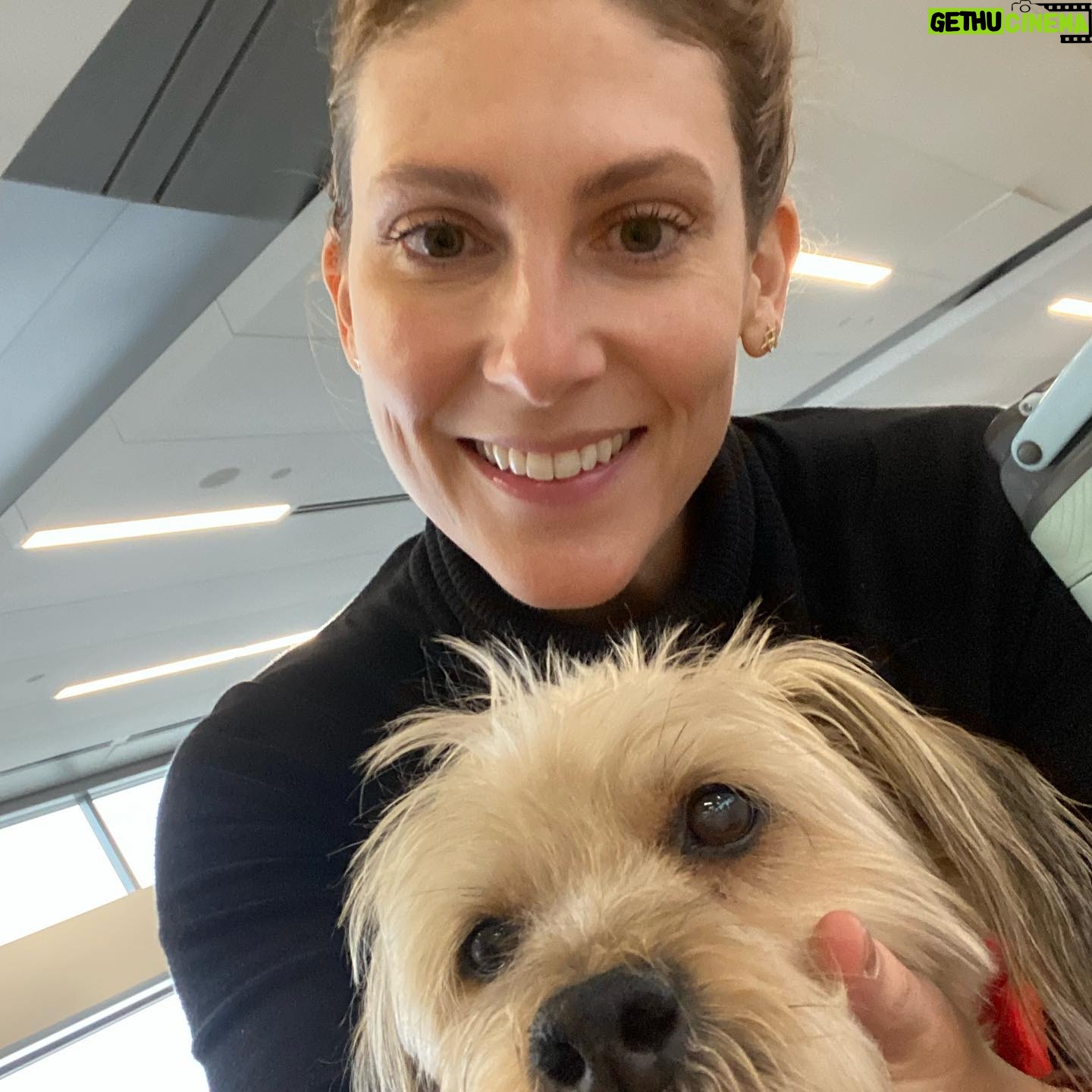 Clarke Wolfe - 528 Likes - Ten years ago I brought Rufus home from @tailsofthecityrescue and I’ve been forcing him to snuggle with me ever since. Road trips, sleepovers, flights, states, sets, surgeries — Rufus has done it all and every day I know I am the luckiest to be his human. 🐾 Happy Gotcha Day, little Rufus! I love you so much. #adoptdontshop #gotchaday #dogsofinstagram #rufus #rescue