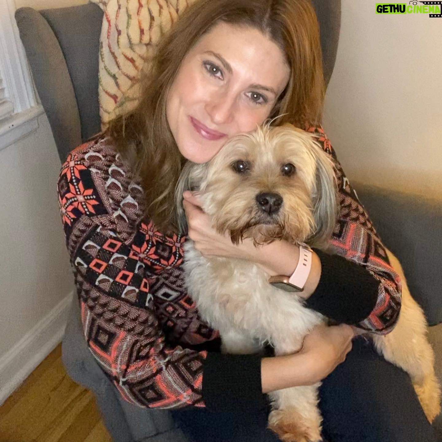 Clarke Wolfe - 528 Likes - Ten years ago I brought Rufus home from @tailsofthecityrescue and I’ve been forcing him to snuggle with me ever since. Road trips, sleepovers, flights, states, sets, surgeries — Rufus has done it all and every day I know I am the luckiest to be his human. 🐾 Happy Gotcha Day, little Rufus! I love you so much. #adoptdontshop #gotchaday #dogsofinstagram #rufus #rescue