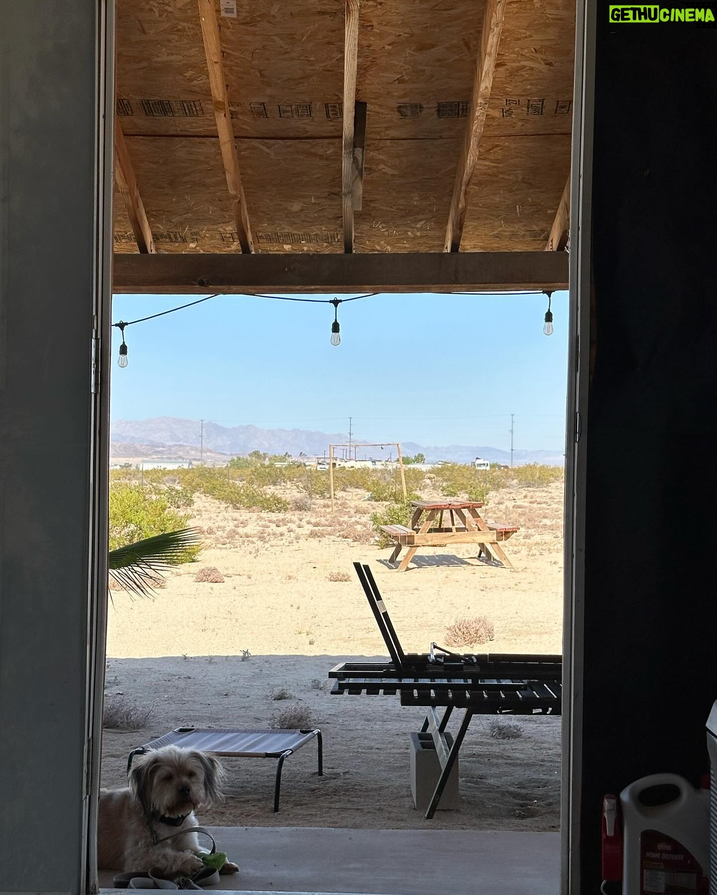 Clarke Wolfe - 453 Likes - 💐 MAY 💐 Highs and lows, adventures near and far and never a dull moment.
I spent a lot of last month getting out of town including trips to:
🎰 Las Vegas with @davidwolfe528 and a ✨magical ✨ reunion with @justinwillman!
🦒 San Diego Zoo Safari Park for Mary & James’ Wedding (followed by a #Disneyland adventure with the newlyweds 🥰)
🏜️ Twentyninepalms for @fayna.bo.byna’s birthday
💎 Temecula for some uncut jahms with @bettydrapers_fatsuit
So, what’s next?!