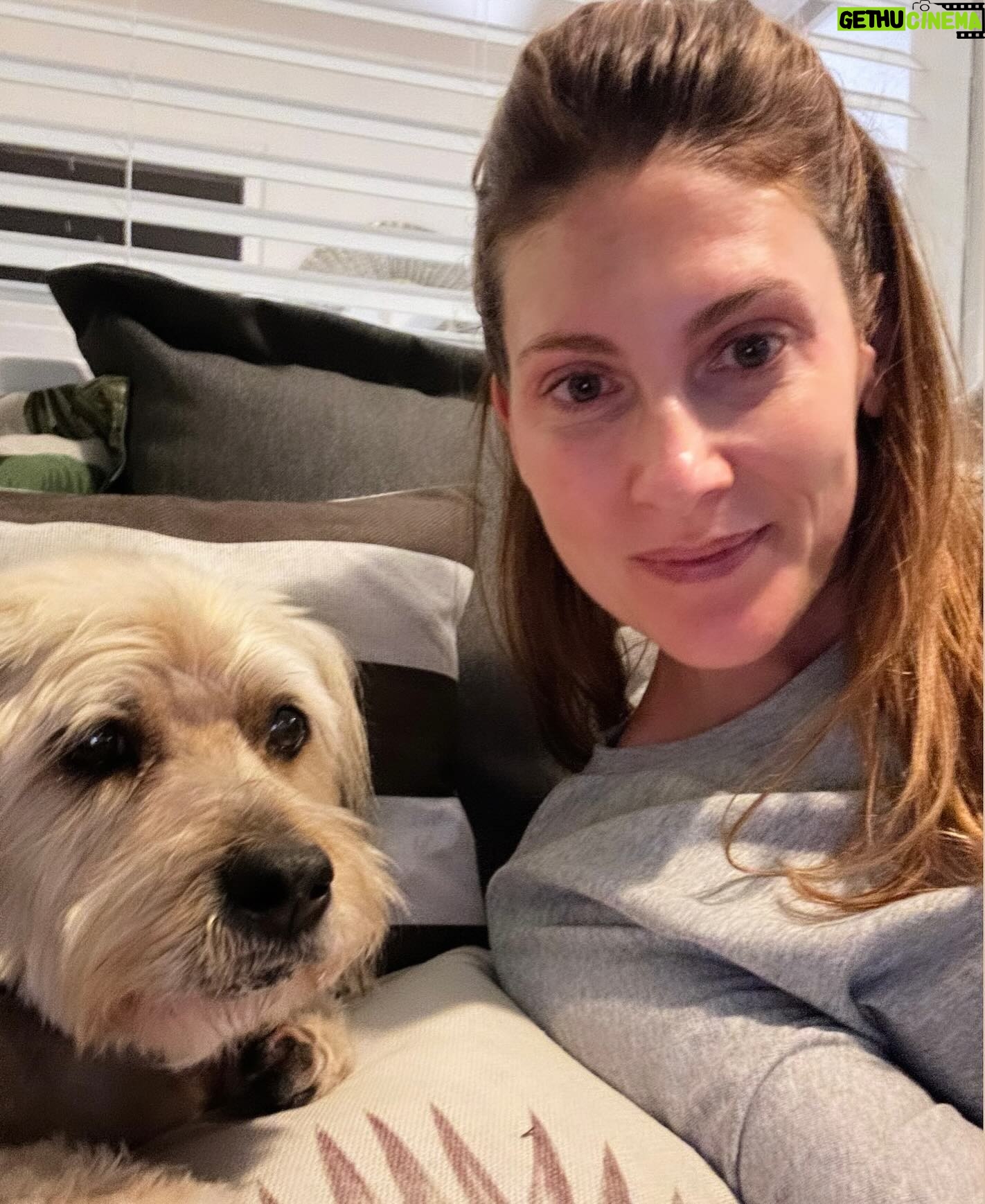 Clarke Wolfe - 459 Likes - A nighttime selfie with Mister Rufus. ✨
#dogsofinstagram #rufus #rescuedog