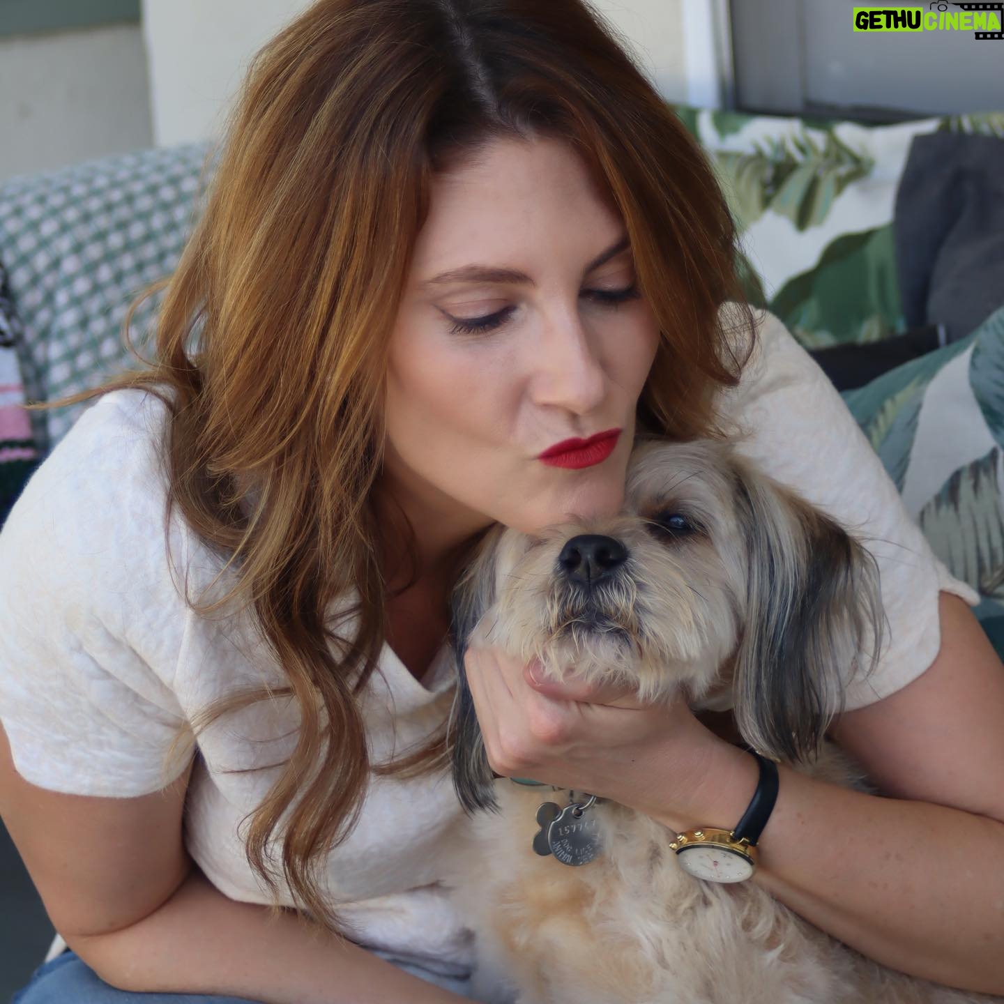 Clarke Wolfe - 528 Likes - Ten years ago I brought Rufus home from @tailsofthecityrescue and I’ve been forcing him to snuggle with me ever since. Road trips, sleepovers, flights, states, sets, surgeries — Rufus has done it all and every day I know I am the luckiest to be his human. 🐾 Happy Gotcha Day, little Rufus! I love you so much. #adoptdontshop #gotchaday #dogsofinstagram #rufus #rescue