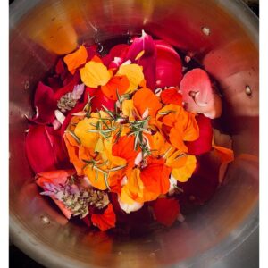 Claudia Black Instagram - COVID and lockdown sent me into survival mode. And then my inner homesteader emerged. Primal provider panic brought me to vegetable gardening. And then my friend and conscious producer from the pixie realm @ginstar introduced  me to foraging:  @growforagecookferment and @pascalbaudar 
Once out of fight or flight I started to see my garden less as another daunting responsibility (amongst many others as a single mother in a pandemic), and more as the extraordinary ally and resource that Mother Earth is. I marveled at the medicine my wild and weedy nasturtiums could be, and they agreed to transform into pesto. I harvested orange blossoms and rose petals just before they fell and pink peppercorns once fallen, and they simmered their way into  hedge-witch jellies. Lilac honey became gifts for my separated clan. Jalapeño honey has followed. Foraged chai tea with pine needles and pink peppercorns is probably not everyone’s cup of tea though it 
proudly has been mine. After years of feeling my pain and my bombastic and needy complex ptsd—as it has presented and looped through my heart, mind, body and spirit—this new hobby has brought me to feeling humble, grateful, enchanted and quiet. I have access to the subtle yet powerful intelligences of things growing just outside my door. And after years of my traumas teaching me falsely to believe that feeling bad was right, I now feel peace and satisfaction as I tinker in my kitchen. It’s a sign of my healing that I am playing and creating this way—I marvel that I am able to be available to it—to put time and energy into it —and what pleasure it brings because it is sustainable, generative and beautiful.  #plantmedicine #foraging #ptsd #cptsd #downregulation #sustainability #homesteading #hedgewitch