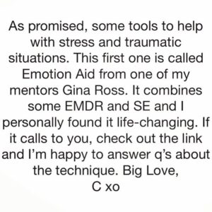 Claudia Black Instagram - My life was crashing hard and I really needed to function; the stakes could not have been higher. A friend at my sons’ school told me -out of the mystical blue - about a workshop Gina was holding for people in media and intuited that I should attend. Bless you @sabineelgemayel Bless you. I showed up that weekend with no clue as to what would unfold there, nor for me personally. I remember my jaw dropping as Gina discussed many aspects of SE and her work; the Trauma Vortex and a counter Vortex ( which she personally calls a Healing Vortex) within us all, as individuals and in the collective. She said that members of the media needed to understand this as we are generally feeding one or the other with our stories. Gina went on to explain that in conflict resolution we cannot hear each other or experience empathy for others if we ourselves are highly activated. SE and her tool Emotion Aid could help people in real time to down-regulate, empty and flush their systems and then listen more; and once we are more empty our cognition changes too, as do our stories. As a senior Somatic Experiencing Educator and founder of The Trauma Institute,  Gina uses many SE tools in her private practice and global work and I could tell she had this burn Inside her to help the world and minimize suffering. This woman blew my mind. She needed a volunteer to demonstrate one of the tools. My hand shot up. I’d been having trouble getting back to sleep between 2-4 am each night for a month. She asked a basic SE question. And a whole process opened up. The event had been a recent home invasion. Rather than rehashing the whole event which could have been re-traumatizing, she guided me through my body to release any trapped energy as it came up. “Chick-Chack,” she said ( easy-peasy) and she was right. My sleep normalized again that evening. That event emptied from my body. It was not my mind that needed help, it was my nervous system. A day later I was on a hike with a friend when I came across a man frozen in distress on the edge of a cliff. There was a steep drop to his left. His boyfriend was getting increasingly stressed out. I overheard someone say he’d been there for two hours. 1/