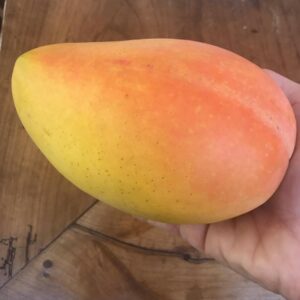 Claudia Black Instagram - Happy new year everyone. May your 2018 be as juicy, sweet and satisfying as this magnificent Kensington Pride mango. #myfavouriteaustralianflavor