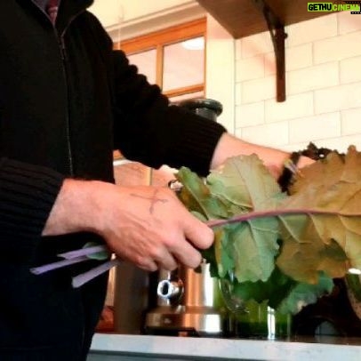 Clayne Crawford - 11.8K Likes - Morning routine. Grow it, Pick It, Live it.
Stay healthy guys
