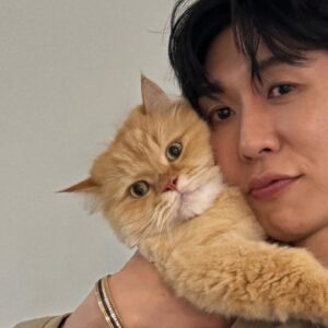 Code Kunst Instagram - 아무리 생각해 봐도 고양이 사랑은 좀 일방적이어야 제맛인 것 같더라구요