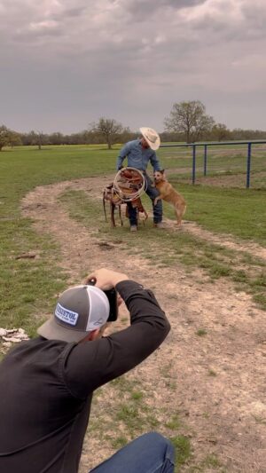Cody Johnson Instagram - Belle wanted to hop on the trend too.