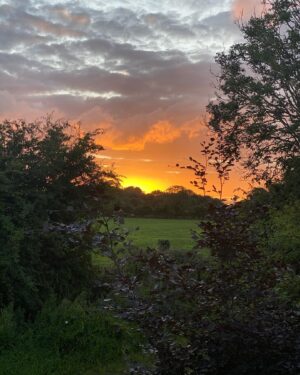 Colin O'Donoghue Instagram - Sometimes you have to stop to admire the beauty around us! #home #nature