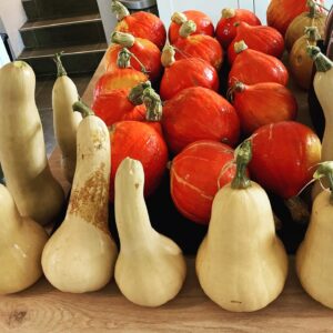 Constance Pittard Instagram - Cette semaine je joue mon spectacle: jeudi à Nîmes, vendredi à La Ciotat et samedi à Marseille 
PS: photo de cucurbitacées de mon jardin juste dans le but d’attirer votre attention par le biais de votre esprit mal placé 🖐😅😘