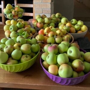 Constance Pittard Instagram - Je crois pouvoir dire sans trop m’avancer que 2020 est une année à la con mais aussi une année à pommes.