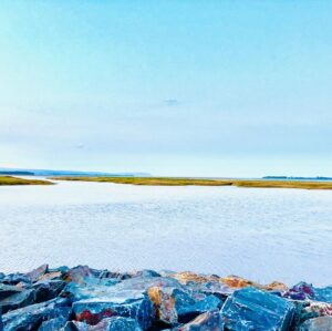 Corrine Koslo Instagram - Wolfville Nova Scotia.
Happy Thanksgiving Canada.
#gratitude#bayoffundy