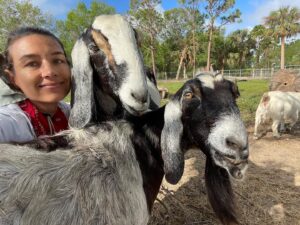 Cortney Palm Instagram - Today was my last day volunteering w/ @littlebearsanctuary as I am moving four hours away (I’ll still visit & may even join their development committee!) I’m going to miss all these beautiful souls. May we all turn towards a more compassionate way of living, by respecting all life & honoring the soul within. I am so grateful for my experience this year on the sanctuary! Even more grateful for all the donations, and all my fans who also helped support the sanctuary Especially after the recent hurricane! I will miss all these beautiful beings, they each had such fun, and unique personalities. - one love
.
.
.
.
.
#littlebearsanctuary #animalrescue #alllivesmatter #onelove #cutepig #cutecow #piglet #disney #donkey #fiona NOT #bacon