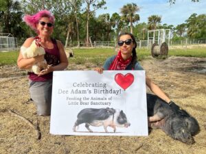 Cortney Palm Instagram - Today was my last day volunteering w/ @littlebearsanctuary as I am moving four hours away (I’ll still visit & may even join their development committee!) I’m going to miss all these beautiful souls. May we all turn towards a more compassionate way of living, by respecting all life & honoring the soul within. I am so grateful for my experience this year on the sanctuary! Even more grateful for all the donations, and all my fans who also helped support the sanctuary Especially after the recent hurricane! I will miss all these beautiful beings, they each had such fun, and unique personalities. - one love
.
.
.
.
.
#littlebearsanctuary #animalrescue #alllivesmatter #onelove #cutepig #cutecow #piglet #disney #donkey #fiona NOT #bacon