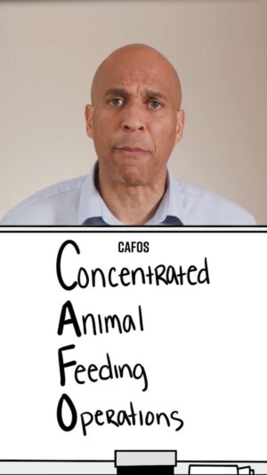 Cory Booker Instagram - We deserve a food system that works for our health, and not against it. Right now, large multinational factory farms and meatpackers are putting our food system at risk due to their immense buying power and size. The losers are consumers, the environment, independent family farmers, animals and our climate. We need to fix the broken system. We can have a system that promotes health, empowers farmers, protects the environment and treats animals more humanely.