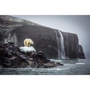 Cory Richards Instagram - Link in Bio!!! 20" x 26" (SIGNED   NUMBERED EDITION of 100) 5 color silkscreen print on 100# Cougar Smooth White Paper by the massively talented Ernesto Yerena @ernestoyerena based on one of my favorite images for National Geographic from an expedition to the Franz Josef Land Archipelago.

@amplifierart is joining @natgeo and the Campaign for Nature's conservation 30x30 initiative! This initiative - which is supported by over 100 countries worldwide - seeks to protect at least 30% of the planet’s land and oceans by the year 2030. Increasing the acreage of protected zones will help achieve habitat conservation goals while also reversing the negative impacts of biodiversity decline and climate change.

Each purchase helps us get this artwork and accompanying lesson plans on conservation for FREE into thousands of classrooms across the U.S. and beyond!