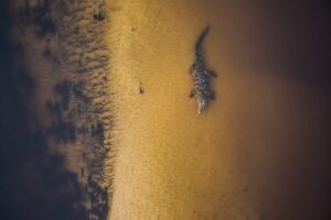 Cory Richards Instagram - It’s been a moment since I shared some photos, so here are two from the archives. 

Shot on assignment for National Geographic Magazine in 2015. Okavango source story profiling the source of the Okavango’s water in the Angolan highlands.  The team, lead by Steven Boyes PhD traveled over 1,000 miles by Mekoro doing a mega transect of the Okavango’s source and its ultimate outlet in the delta.