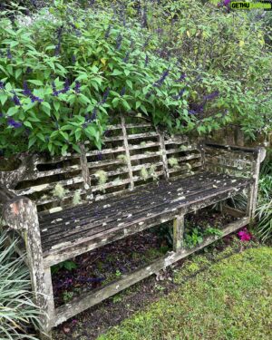 Costa Georgiadis Instagram - #benchesofdistinction nominee spotted in Dural NSW recently. The lichen covered slats make for  the invitation to@come sit a while@and have a cuppa. Combine that with  lichen and the adjoining foliage wanting to come and sit a while and the scene is set.  #gardenbenches #gardenbenchesofinstagram #lichen