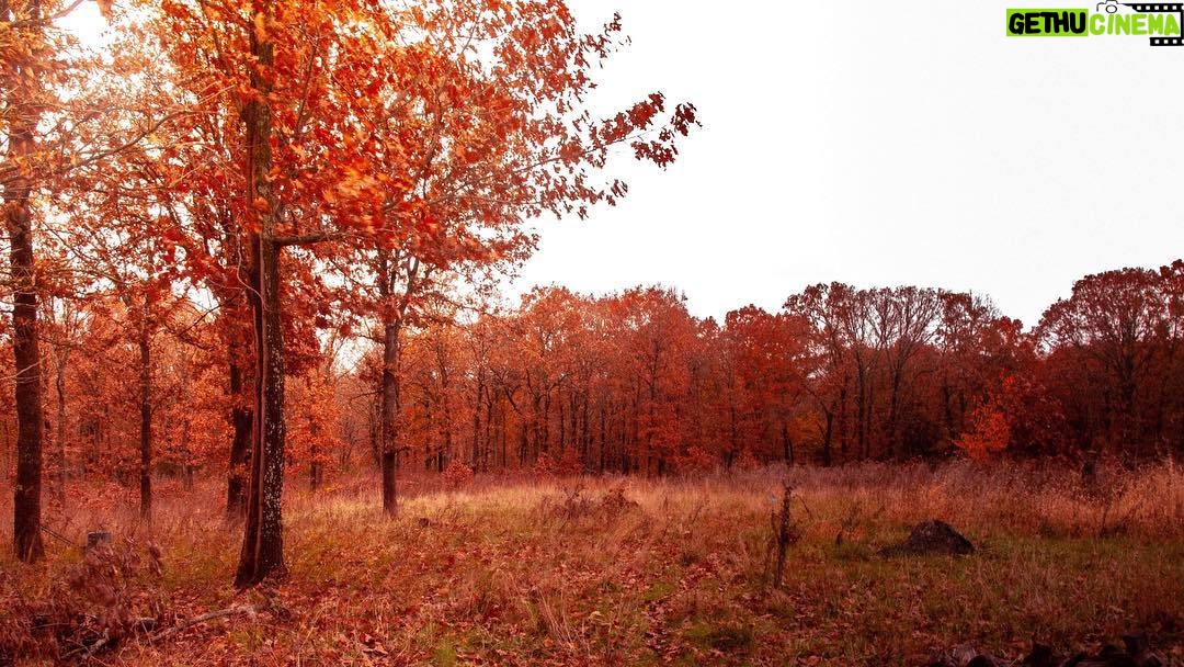 Courtney Bandeko - 174 Likes - Homesick.
Photo Cred: my daddy
#missouri