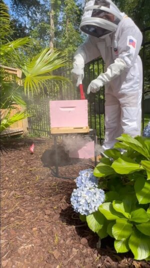 Craig Conover Instagram - First day
I’ve got a lot to learn
Everyone meet Lady Cotesworth and her family

#ourfirstpets #apiary #allyourbeeswax 
#athomewithcraig #craigandhisbees #theyonlylistentotheirmom