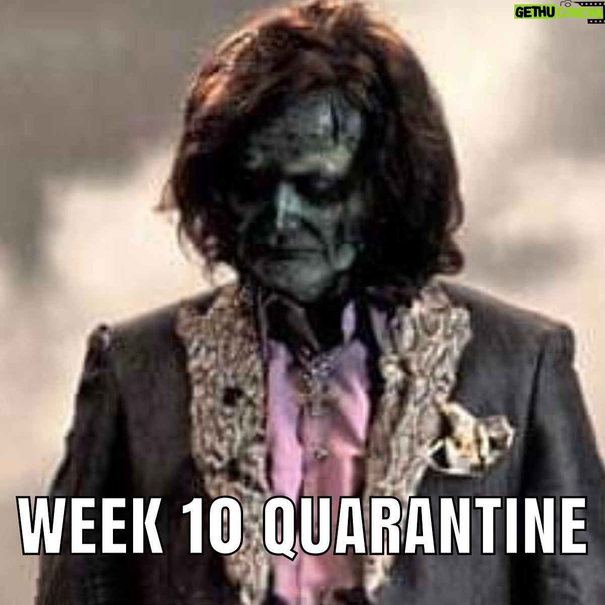 Creed Bratton - 60K Likes - Day 1 through 70 Quarantine Creed (SWIPE)