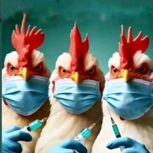 Cristián Contreras Radovic Instagram - 🐔 NO GRACIAS 🐓

✅️⚖️ #FuerzaDeCentro 🏹👉
https://forms.gle/V9qJf2citBEsUJBJ6