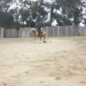 Cuba Gooding Jr. Instagram - "Horseplay Fridays😎”...