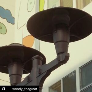 Cynthia Rodriguez Instagram - You’re My Lady  w/ @woody_thegreat | @thegavyntaylor 🎥 @montecarlodream