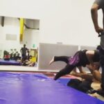 D-Trix