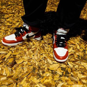 DJ LOVE Instagram - Today’s kicks
#aj1