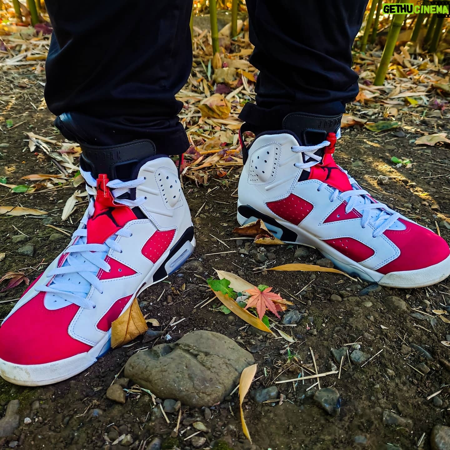 DJ LOVE - 17.3K Likes - Todayās kicks
#aj6carmine
