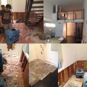 DJ Qualls Instagram - Ten years ago, I bought my house. It was scary and way more than I wanted to spend. HOW could I pay this mortgage for 30 years? Why would I want to be in one place for that many years? For a LONG time (6yrs) it looked like this. Worse than this. It had a couch and a bed. Nothing on the walls. Thanks for the photo, @andru_z 

There was the black mold and THEN the flood, which really SUCKED. (Pic 2, obvi)

But with trial and error, trial and error, trial and error and a lot of help from good friends. (Pics 3-5)...

Now it’s my home, and it looks like this. It’s my little refuge from the world. I spend a lot of time looking for things to make it more me. I like art and my style is modern mixed with gaudy old rich people crap, that I buy WAY on the cheap. Those bedside lamps from 1870 were $400 for the pair. It’s like sleeping in Dracula’s castle. (Pics 6-7).

Two years ago, I starting adding in some old man style display cases, which was hard for me to accept at first. I don’t like things on places, but I guess, deep down, I AM an old British man who wears tweed and finds things “terribly interesting.” (Pic 8)

Over the years this place has seen so many parties, housed so many people, heard so much laughter and so many tears (which I can’t show you). It’s also the place where I can hide (hermit) when I feel tired or defeated and I need to build up my stamina to go back out and try again. Sometimes it gets a bit weird. I was the Night King! And the next morning I regretted that decision. (Pics 9-10) 

I am so grateful that I got to realize my dreams of pretending for a living, have people respond to want I’ve done and have the continued goodwill of my colleagues. I wouldn’t have a home if not for that. 

Now she’s 10 years old and stuff is starting to break. I don’t know how to fix things or where to go most of the time. (Jon Greenberg and @triumphlifefitness, my dryer is still under the stairs, ahem). It’s anxiety making and costly, but it’s still one of the best things I’ve ever done. So today I take a break from all the world’s crap to take stock to be thankful. #myhouse #grateful #homerenovation #moneypit #goodfriends #thankyou #hashtagsarestupid