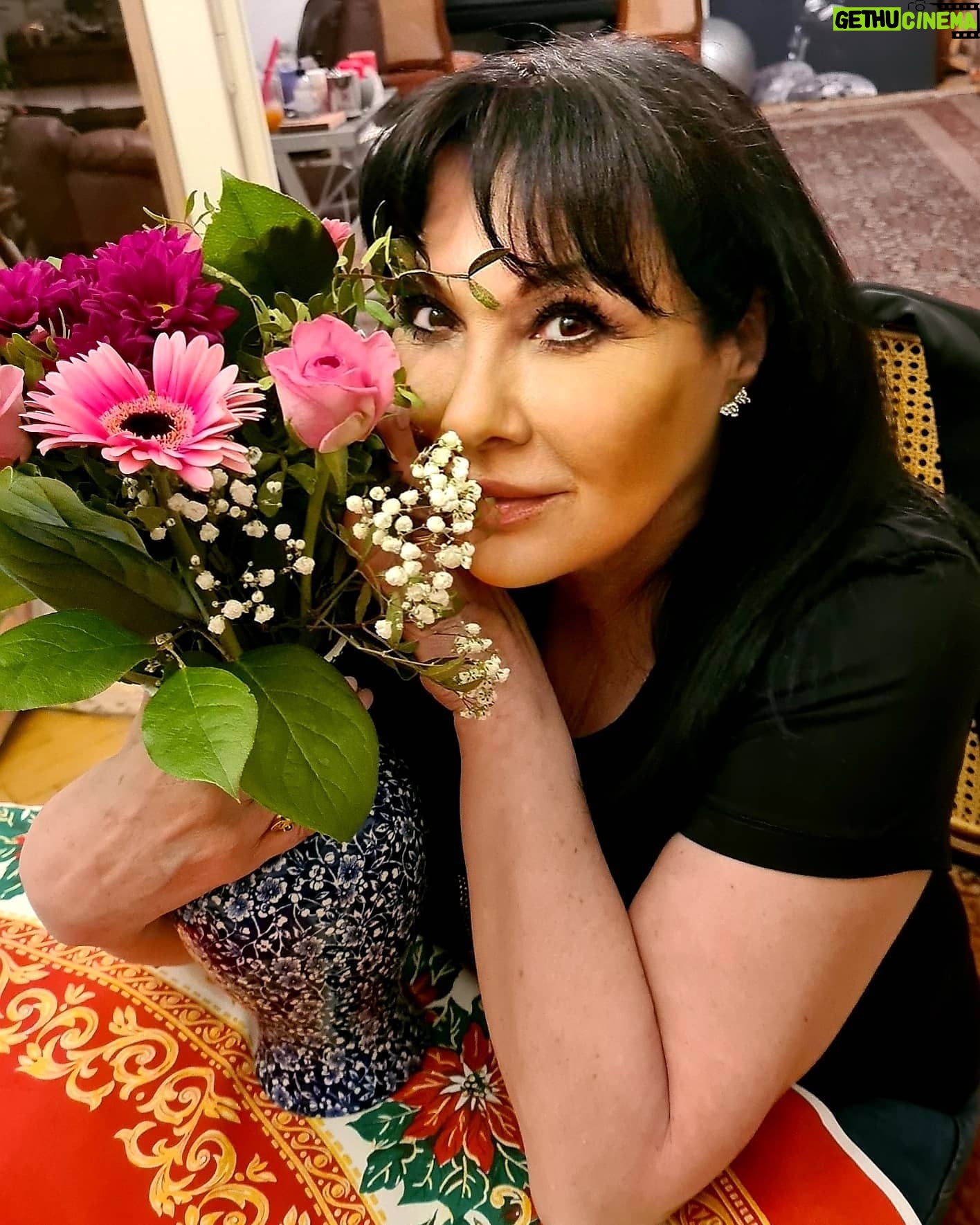 Dagmar Patrasová - 2.3K Likes - Dnes jsem prožila krásný večer ve společnosti @honzadedek7padu . Jeste jednou moc děkuji za kytičku 🌹