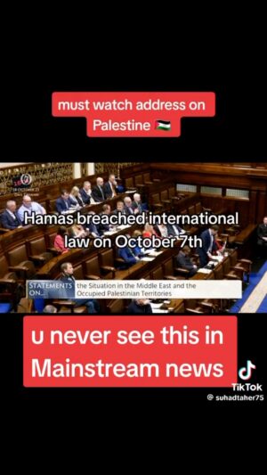 Dallas Goldtooth Instagram - Free Palestine