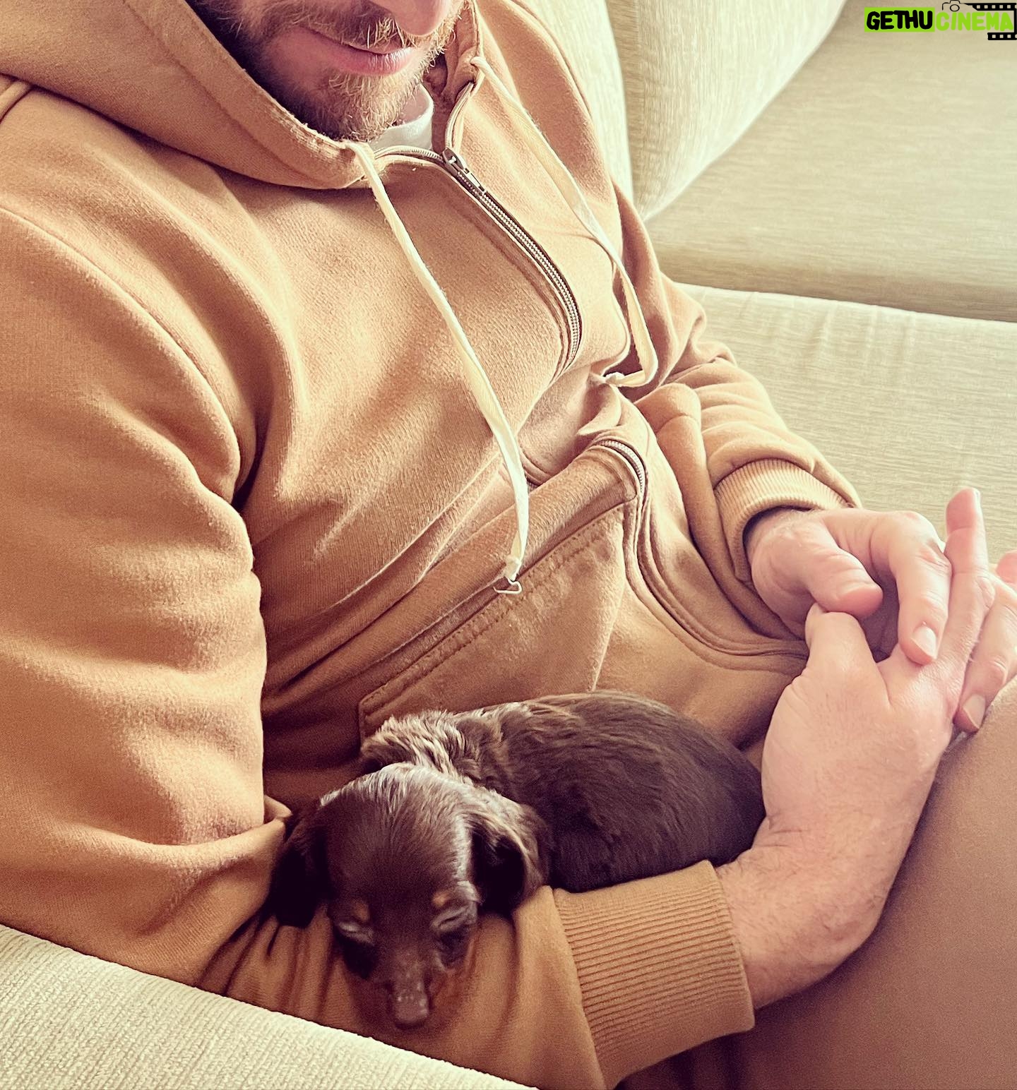 Dalton Rangel - 4.7K Likes - Esse é o Charlie. Novo integrante da família. Ele esta mandando uma lambidinha pra todo mundo e dizendo que vcs poderão acompanhar o crescimento dele nos stories da mamãe @natcasagrandecakes e no meu, claro. ❤️ Agora, quero ver adivinharem a RAÇA DELE…
.
#pet #dog