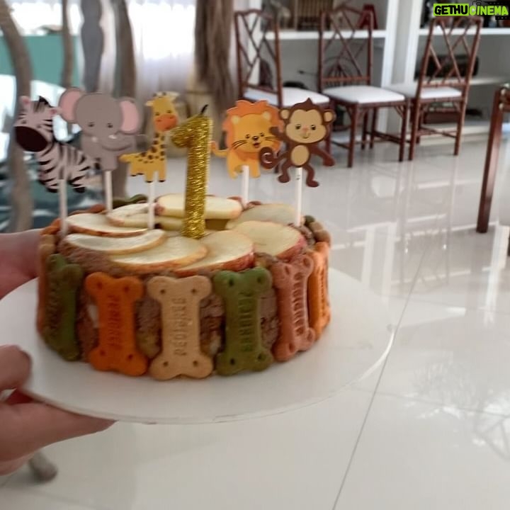 Dalton Rangel - 1K Likes - Claro que o aniversário 🎂 do nosso 😇 de 4 patinhas não ia ficar sem bolinho❤️ comemorando 1 ano de amor incondicional… leveza… alegrias e muito carinho que você trouxe para nossa casa ❤️ te amamos demais Charlinho ❤️ querem a receita do bolinho canino????