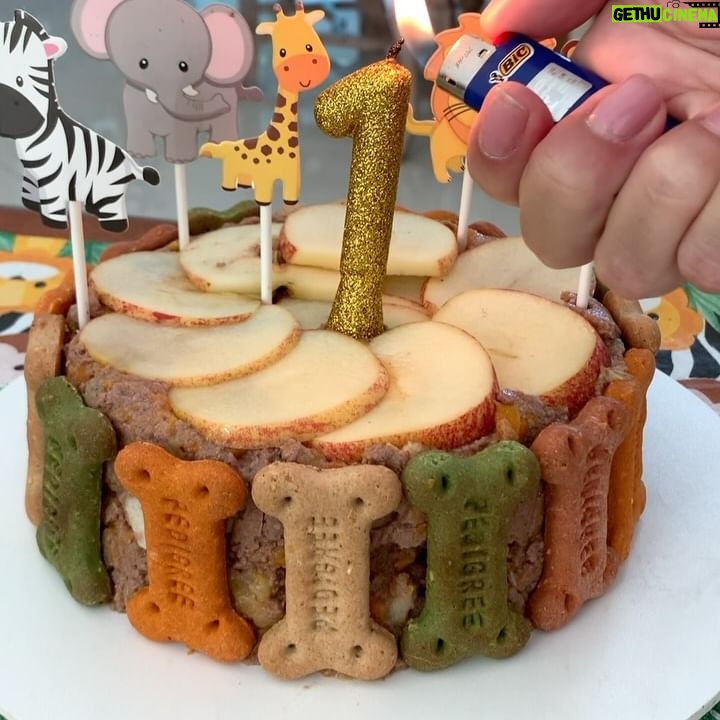 Dalton Rangel - 1K Likes - Claro que o aniversário 🎂 do nosso 😇 de 4 patinhas não ia ficar sem bolinho❤️ comemorando 1 ano de amor incondicional… leveza… alegrias e muito carinho que você trouxe para nossa casa ❤️ te amamos demais Charlinho ❤️ querem a receita do bolinho canino????