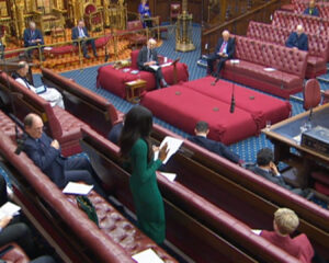 Dambisa Moyo Instagram - I was happy to speak in the @ukhouseoflords debate on Artificial Intelligence.

Although regulation is important it should not become a synonym for risk mitigation - we need to encourage innovation and investment too.

#AIBill #AIFutures