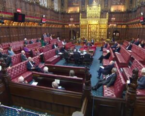 Dambisa Moyo Instagram - I was happy to speak in the @ukhouseoflords debate on Artificial Intelligence.

Although regulation is important it should not become a synonym for risk mitigation - we need to encourage innovation and investment too.

#AIBill #AIFutures